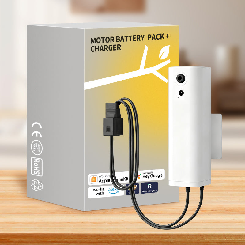 Motor battery pack + charger