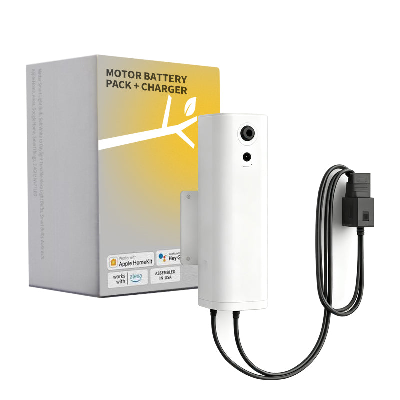 Motor battery pack + charger