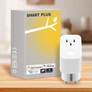 Smart plug (optional energy metering)